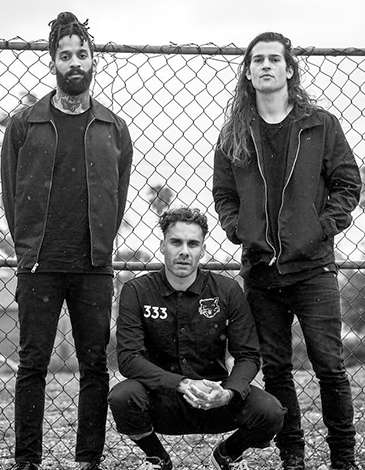 The Fever 333